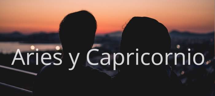 Aries y Capricornio: ¿Una verdadera historia de amor o algo pasajero?