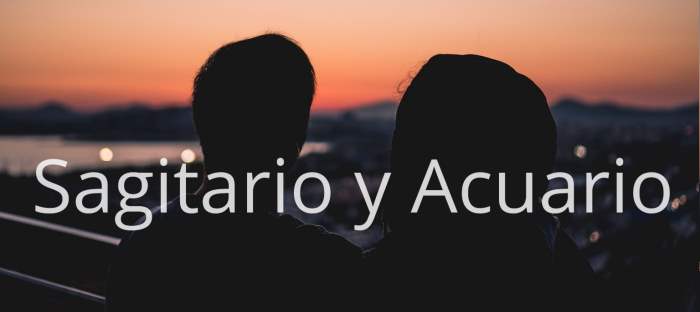Sagitario y Acuario: ¿Una verdadera historia de amor o algo pasajero?