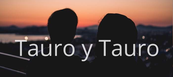 Tauro y Tauro: Descubre dónde son compatibles y dónde no