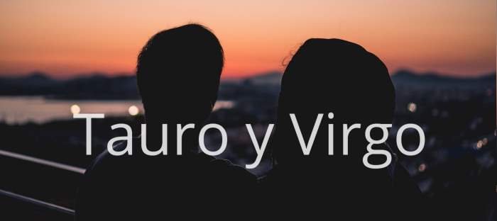 Tauro y Virgo: Descubre lo que dicen los astros sobre esta unión zodiacal
