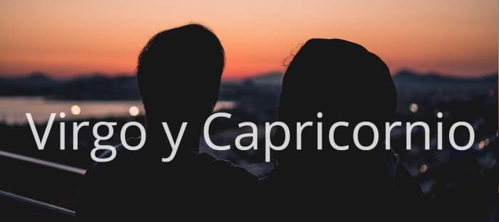 Virgo y Capricornio: Descubre en qué son compatibles estos dos signos zodiacales