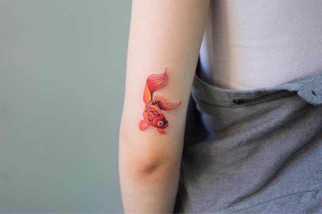 tattoo femenino de carpa 18