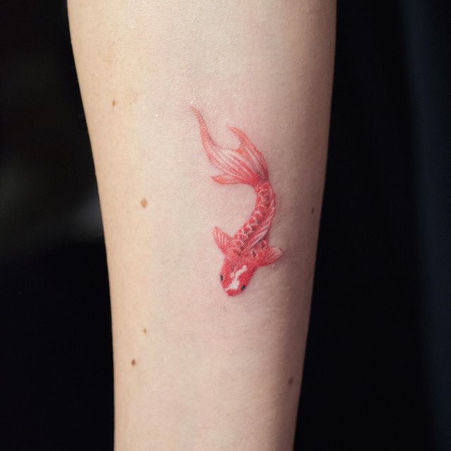 tattoo femenino de carpa 47