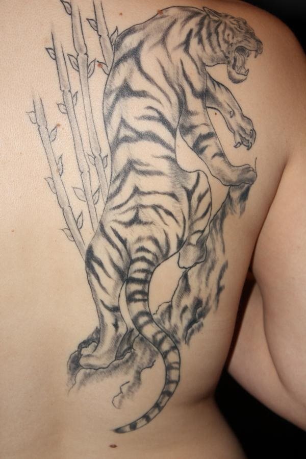 Un tigre de espaldas que trepa sobre la espalda