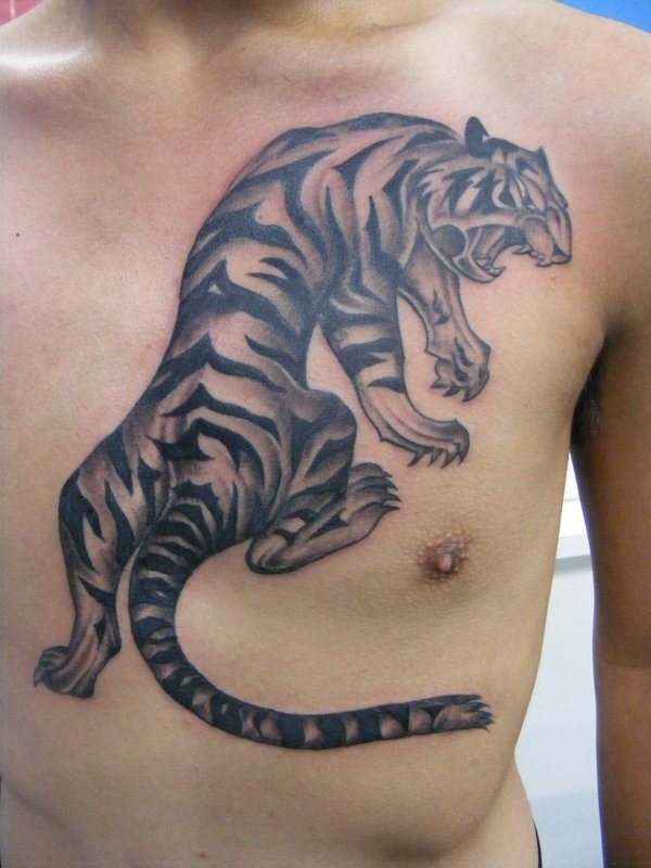 Un nuevo diseo de un tigre de espaldas tatuado en el pecho