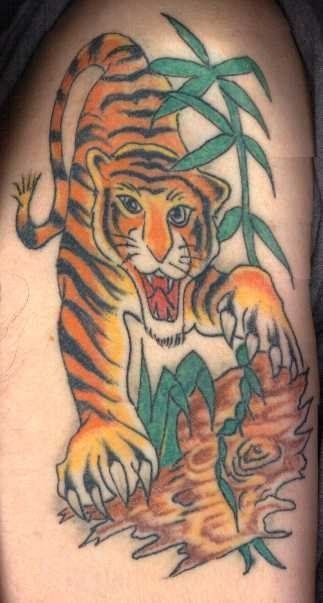 Diseo de un tigre tatuado en el brazo