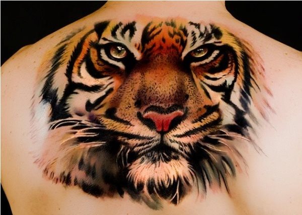 Realista imagen del rostro de un tigre tatuado en la parte superior de la espalda