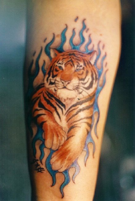 Diseo de un tigre con un fondo de llamas azules